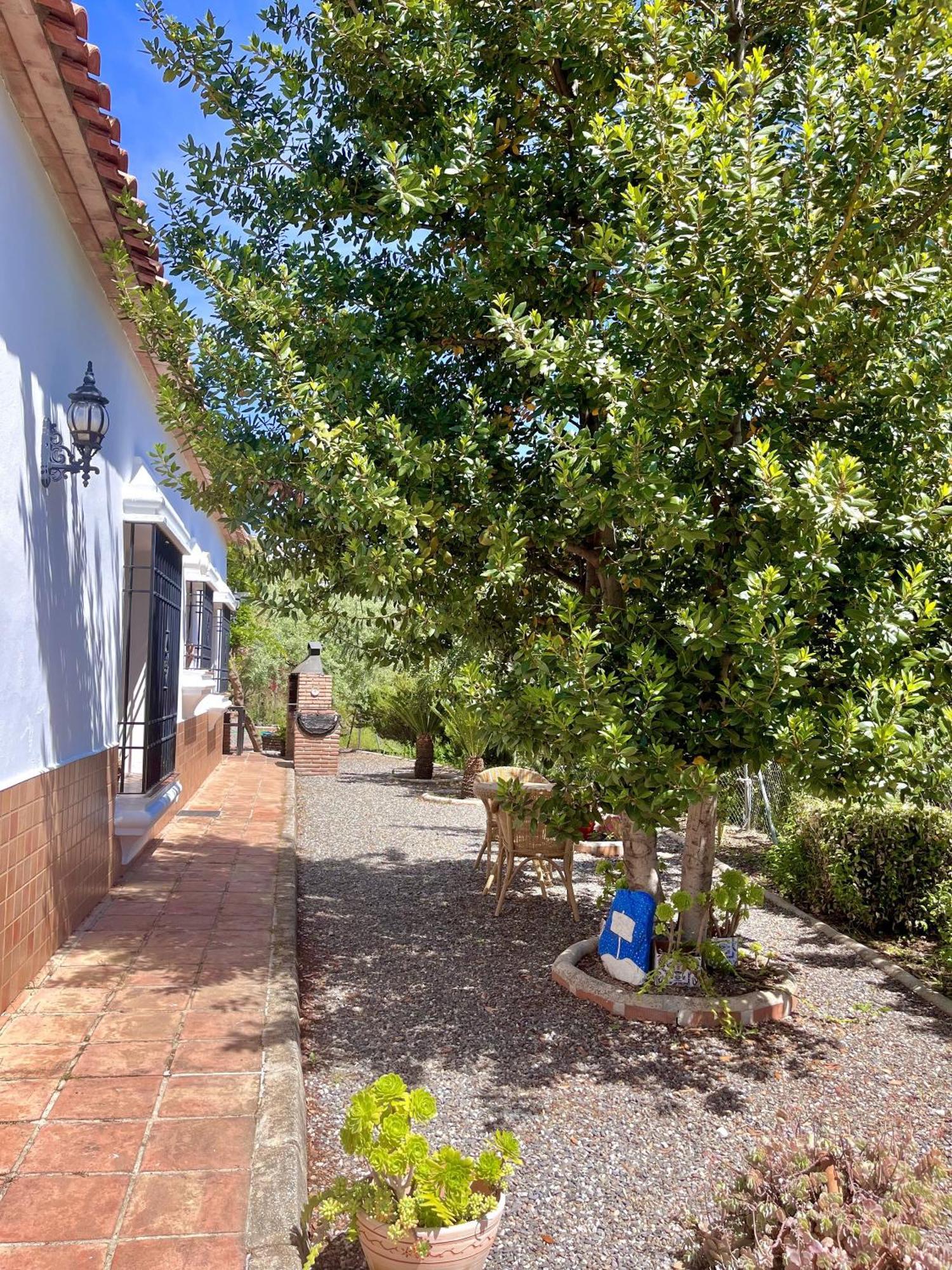 Finca Rural Mazuqueto Jubrique Dış mekan fotoğraf