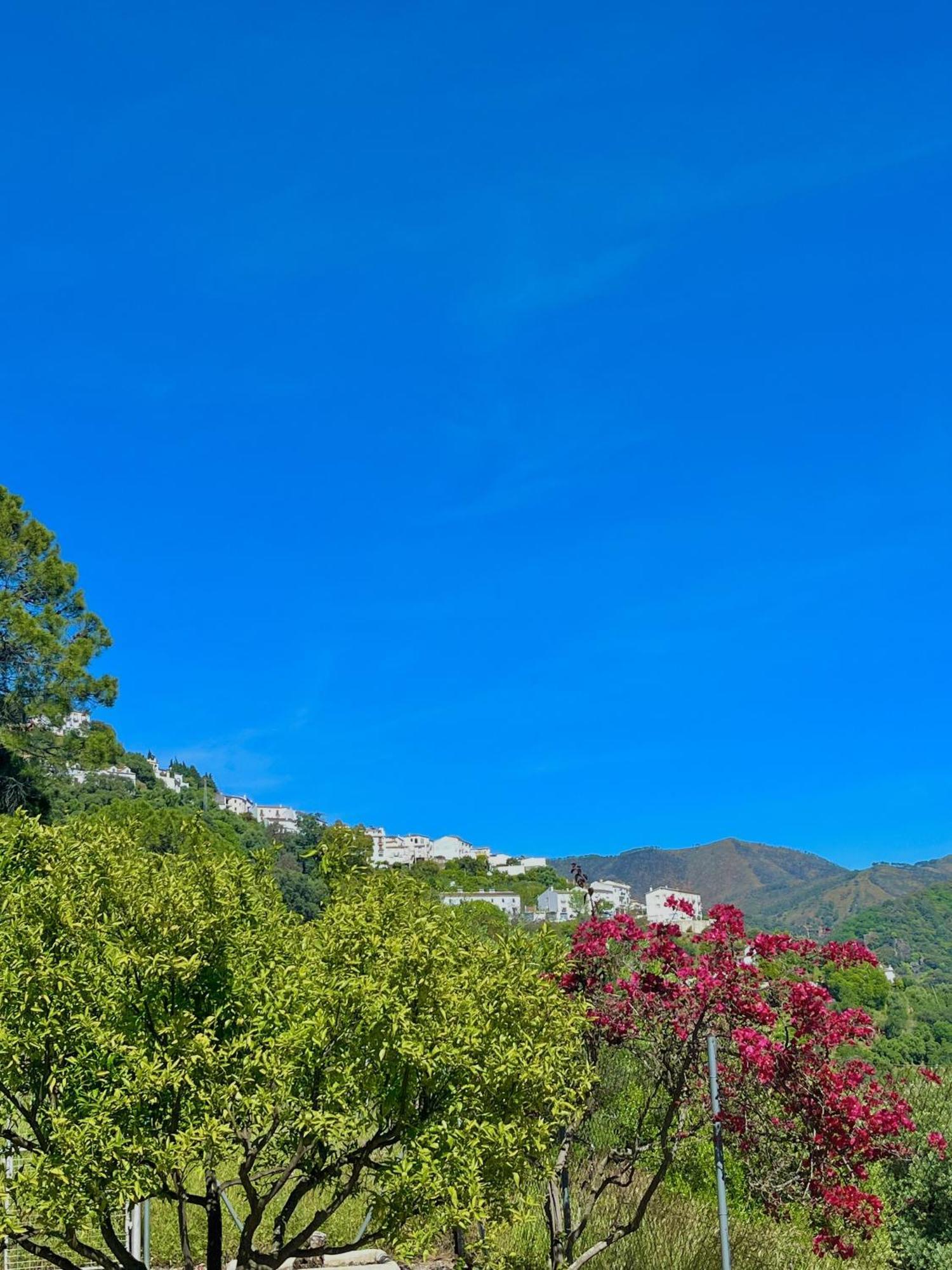 Finca Rural Mazuqueto Jubrique Dış mekan fotoğraf